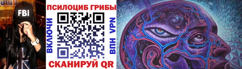Псилоцибиновые грибы ЛСД  Купить где  Коркино 
